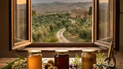 Origins and Flowers: Discovering the Lazio Terroir